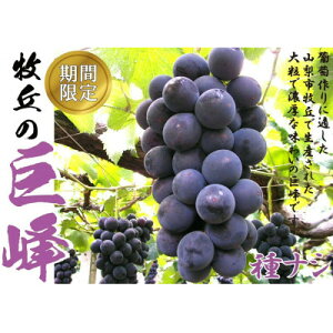 �y�ӂ邳�Ɣ[�Łz2026�N��s�\��8�����{��菇����������̋u����̃v�������͂����鋐��(��Ȃ�)2�[(1kg�ȏ�)�y�z���s�n��F�����z�y1362911�z