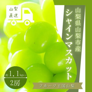 yӂ邳Ɣ[ŁzVC}XJbg 2[ 1.1kgȏ R RsY_ ӂ邳Ɣ[ ӂ邳 }XJbg Ԃǂ uhE  t[c ʕ  R lC yzsnF