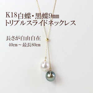 yӂ邳Ɣ[ŁzK18E^gvXChlbNXŏ40cm`ő80cmyzsnFꌧzy1366872z