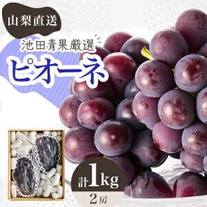 yӂ邳Ɣ[Łzy2026Ns\zI!!rcʂ̃sI[l@2[ ӂ邳Ɣ[Ł@v1kgȏyzsnFzy1370963z