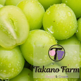 【ふるさと納税】【数量限定】Takano Farmのシャインマスカット約1.5kg(2～3房)【配送不可地域：離島】【1371863】