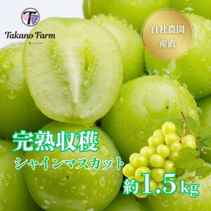 �y�ӂ邳�Ɣ[�Łz�y2026�N��s�\��z�V���C���}�X�J�b�g ��1.5kg �R���s�̎��Д_���Y��!���n���n!�y���ʌ���z�y�z���s�n��F�����z�y1371863�z