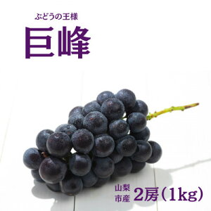 yӂ邳Ɣ[Łzy2026Ns\zYn RsY 2[yzsnFzy1377175z