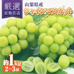 yӂ邳Ɣ[ŁzVC}XJbg 1kg I!_ƒ VC}XJbg (2`3[)_ ӂ邳Ɣ[ t[c ʕ  }XJbg uhE Ԃǂ  ӂ邳 lC R R 
