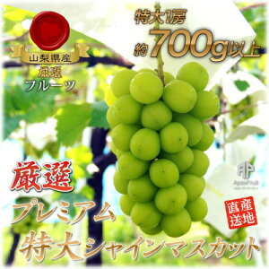 【ふるさと納税】【2026年発送】厳選!プレミアムシャインマスカット1房 (700g以上サイズ)【配送不可地域:離島】【1395550】
