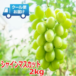 yӂ邳Ɣ[ŁzS̃N[֔@VC}XJbg 2kg (3`4[)yzsnFEkCEꌧEElEBzy1398967z
