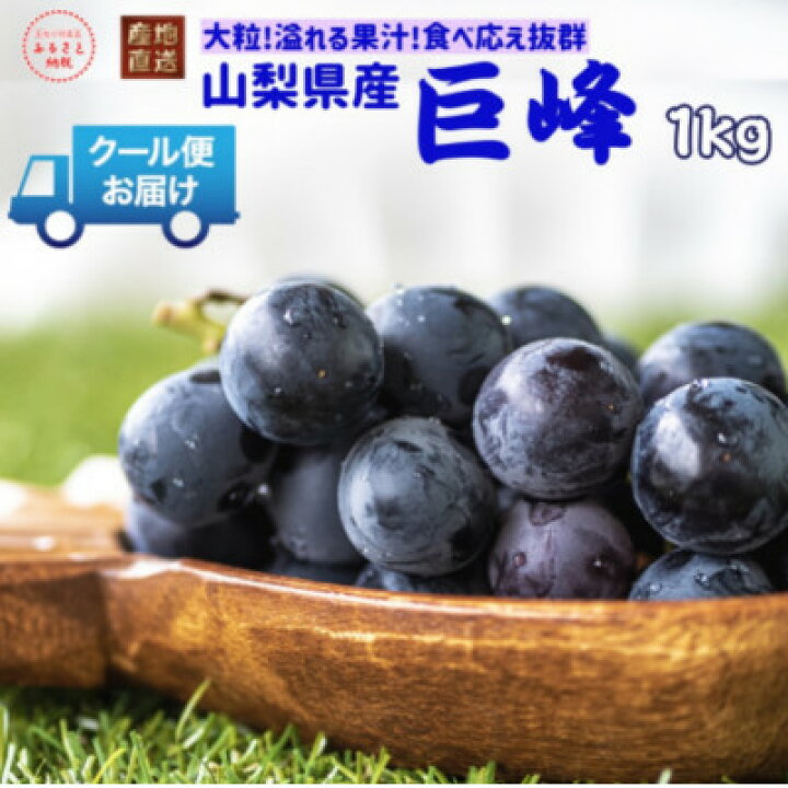 【ふるさと納税】安心のクール便発送 山梨県産巨峰 1kg(2房)【配送不可地域:離島・北海道・沖縄県・中国・四国・九州】【1398969】 山梨県山梨市 山梨県産巨峰 粒1.1kg