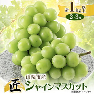 yӂ邳Ɣ[Łzy2026Ns\zRsYVC}XJbg()1Kgȏ@2`3[_ ӂ邳Ɣ[ t[c ʕ  }XJbg uhE Ԃǂ  ӂ邳 lC R R 