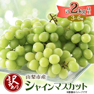 yӂ邳Ɣ[Łzy2026Ns\zy󂠂zRsYVC}XJbg2kgȏ(3`6[)_ ӂ邳Ɣ[ t[c ʕ A uhE Ԃǂ }XJbg   킯 ӂ邳 