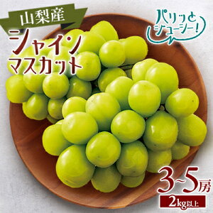 yӂ邳Ɣ[Łzy2026NzVC}XJbg3`5[(12kgȏ)yzsnFzy1418660z