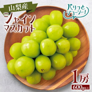 yӂ邳Ɣ[Łzy2026NzVC}XJbg1[(1[600gȏ)yzsnFzy1418662z