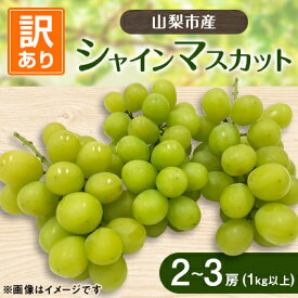 【ふるさと納税】山梨市産シャインマスカット(訳あり)2～3房(1kg以上)【配送不可地域：離島】【1427896】