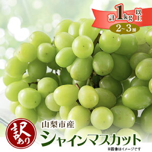 yӂ邳Ɣ[Łzy2026Ns\zy󂠂zRsYVC}XJbg1kgȏ(2`3[)_ ӂ邳Ɣ[ t[c ʕ A uhE Ԃǂ }XJbg   킯 ӂ邳 