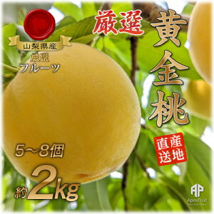 yӂ邳Ɣ[Łzy2026Ns\zRsY@@2kg(5`8)yzsnFzy1431879z