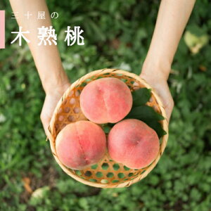 �y�ӂ邳�Ɣ[�Łz�u2026�N��s�\��v�O�\��������蓍�y3�� 1kg�ȏ�z�y�z���s�n��F�����E���ꌧ�z�y1456109�z