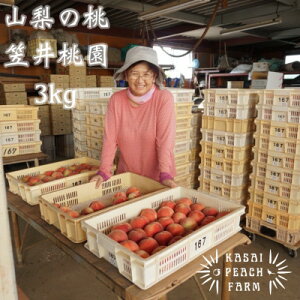 yӂ邳Ɣ[Łzy2026Ns\zÎ蓍 R̊}䓍̓ 3kgyzsnFzy1456517z