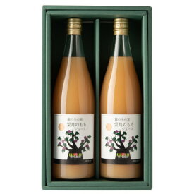 【ふるさと納税】「 龍の木の実 望月のもも 」望月農園の濃厚ももジュース2本セット【1459338】