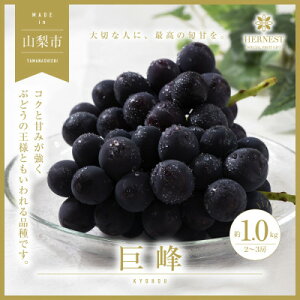 yӂ邳Ɣ[Łzy2026Ns\zRRsY@{̍̂ꂽċ@1kg@2`3[yzsnFzy1459462z