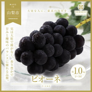 yӂ邳Ɣ[Łzy2026Ns\zRRsY@{̍̂ꂽăsI[l@1kg@2`3[yzsnFzy1459463z