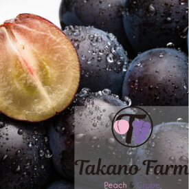 【ふるさと納税】【数量限定】Takano Farmの藤稔　約1.5kg(2～3房入)【配送不可地域：離島】【1460455】