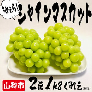 yӂ邳Ɣ[ŁzƂꂽăVC}XJbgRs_ƒ(2[v1kgx)yzsnFzy1463721z