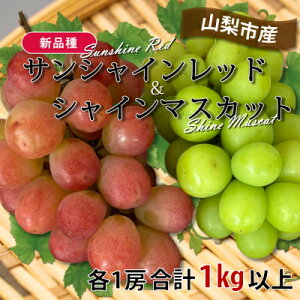 yӂ邳Ɣ[Łzy2026Ns\zRsYTVCbhƃVC}XJbg̓ʃZbg(v1kgȏ)yzsnFzy1464815z