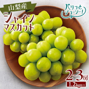 【ふるさと納税】【2026年発送】山梨市産 シャインマスカット 2〜3房(1.2kg以上)【配送不可地域:離島】【1465064】