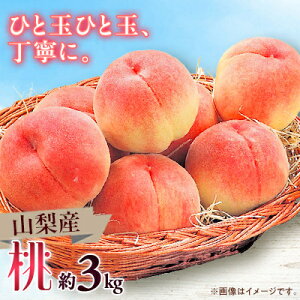 【ふるさと納税】【2026年発送】山梨市産 桃 約3kg【配送不可地域:離島】【1465106】