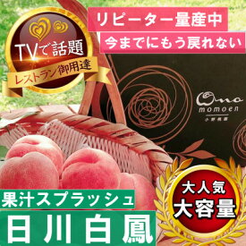 【ふるさと納税】【果汁スプラッシュ日川白鳳】人気品種指定ギフト3年連続TV出演話題ブランド桃2024年6月下旬発送【配送不可地域：離島・北海道・沖縄県・中国・四国・九州】【1465185】