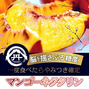 yӂ邳Ɣ[ŁzySIɏoȂ󏭓z}S[lN^݂s[^[o2026N7{蔭yzsnFEkCEꌧEElEBzy1468752z