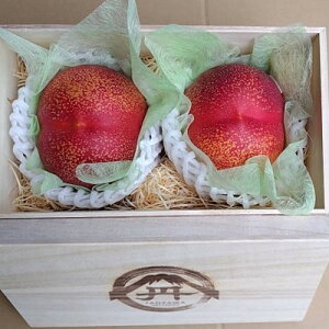 yӂ邳Ɣ[Łzyɑoz׋C𕥂_ȉʕނȂΓxVg[lN^2026N7{yzsnFEkCEꌧEElEBzy1468765