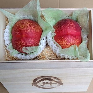 yӂ邳Ɣ[Łzycl֍ō̂~蕨zōx25xނȂΓxVg[lN^2026N8{yzsnFEkCEꌧEElEBzy1468768