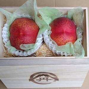 �y�ӂ邳�Ɣ[�Łz�y����ɍ������鑡�蕨�z�ō����x25�x�̔�ނȂ���Γ��x�V���g�[�l�N�^����2026�N6�����{�����y�z���s�n��F�����E�k�C���E���ꌧ�E�����E�l���E��B�z�y1468771�z