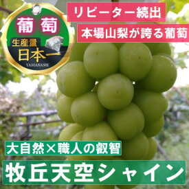 【ふるさと納税】【2024年9月下旬発送】「幻の牧丘天空シャインマスカット」 約1kg(2～4房)【配送不可地域：離島・北海道・沖縄県・中国・四国・九州】【1473176】