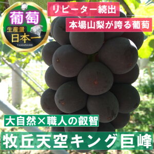 yӂ邳Ɣ[Łzy2026Ns\z2026N10{u̖quVLOv 1kg(2`3[)yzsnFEkCEꌧEElEBzy1473337z