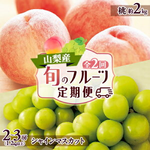 【ふるさと納税】【発送月固定定期便】山梨市フルーツ定期便(桃・シャインマスカット)全2回【配送不可地域:離島】【4006310】