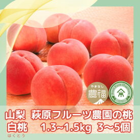 【ふるさと納税】山梨 萩原フルーツ農園の桃(白桃) 1.3～1.5kg(3～5個入)【配送不可地域：離島】【1477609】