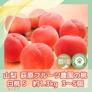 �y�ӂ邳�Ɣ[�Łz�y2026�N��s�\��z�R���E�����t���[�c�_���̔����@S (��1.3kg/3�`5��)�y�z���s�n��F�����z�y1477609�z