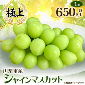【ふるさと納税】【2026年発送】山梨市産シャインマスカット(極上)1房(650g以上)【配送不可地域：離島】【1478957】