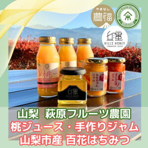 yӂ邳Ɣ[ŁzR ͂ӂ W[X3{EW2{E݂͂1{ (ϔ)y1482158z