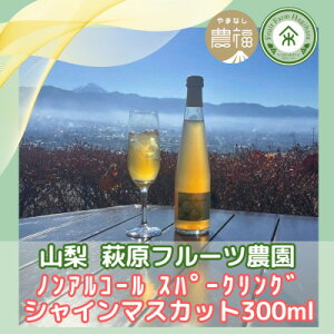 yӂ邳Ɣ[ŁzR ͂ӂ mAR[Xp[NO VC}XJbg 300ml×2{ (ϔ)y1482160z