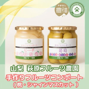 yӂ邳Ɣ[ŁzR ͂ӂ t[cR|[gyEVC}XJbgz2{Zbgy1482163z