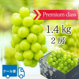 【ふるさと納税】【2026年発送】山梨市 プレミアムシャインマスカット(約1.4kg)大房2房入り 化粧箱入り【配送不可地域：離島・沖縄県】【1484817】