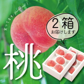 【ふるさと納税】【日本一のもも生産量】 山梨 直送 ! 旬 の 完熟桃 1kg～4kg ギフト箱入り 選べる 内容量 1kg 1.5kg 2kg 3kg 4kg _ ふるさと納税 桃 もも モモ フルーツ 果物 くだもの ギフト プレゼント 山梨県 山梨市 人気 美味しい 【配送不可地域：離島、沖縄県】