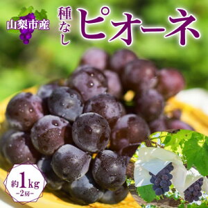 yӂ邳Ɣ[Łzq2026Ns\rÂ݂Ǝ_̃oX▭!uRRsY [ sI[l 2[ 1kgvyzsnFEꌧzy1513021z