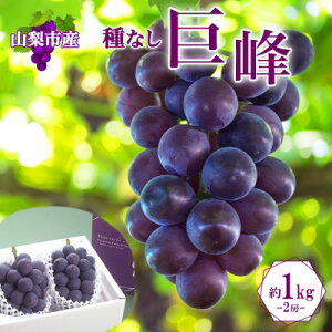 yӂ邳Ɣ[Łzq2026Ns\rZȖ킢!uRRsY̋ 2[ 1kgvyzsnFEꌧzy1513024z