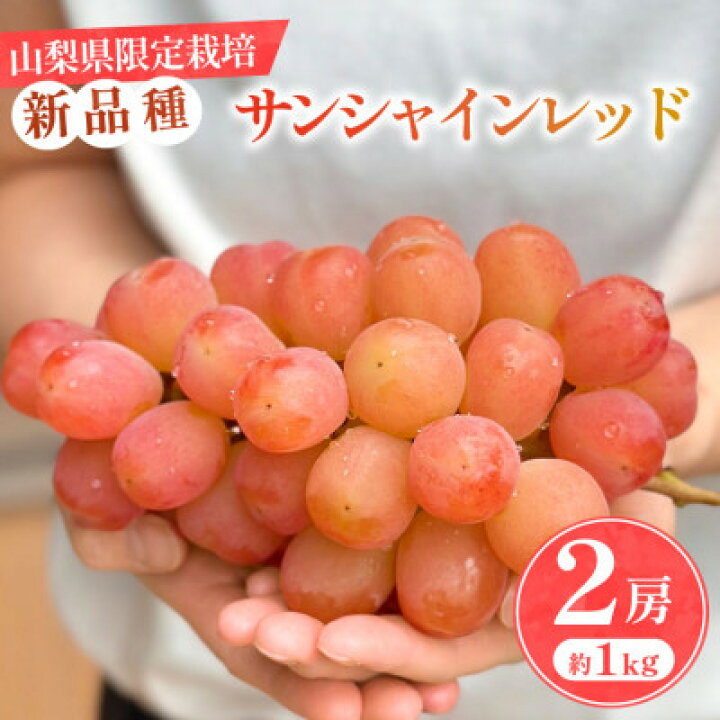 楽天市場】【ふるさと納税】山梨県産 希少品種「サンシャインレッド」2 