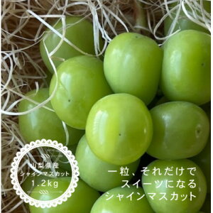 yӂ邳Ɣ[ŁzVC}XJbg 2[ (1.2kg) RYyzsnFEꌧzy1529115z