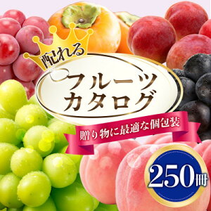 yӂ邳Ɣ[Łzzt[cJ^O 250Zbg ƂIׂJ^OMtgRZNgyŔzz_ J^OMtg J^O Mtg  v[g Iׂ ʕ 