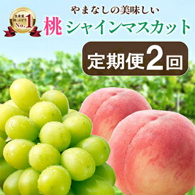 【ふるさと納税】【発送月固定定期便】山梨の美味しい【桃とシャインマスカット】定期便全2回_ 桃 もも・シャインマスカット ぶどう ブドウ お試し フルーツ 果物 詰め合わせ セット 贈答 ギフト 【配送不可地域：離島】【4013283】